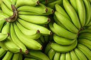 Bananas verdes from Uganda